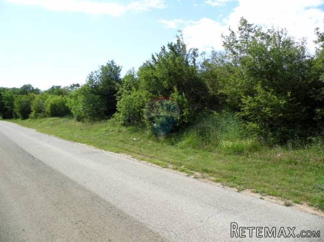 Istra - Bale - poljoprivredno zemljište 65.000 m2 - 4