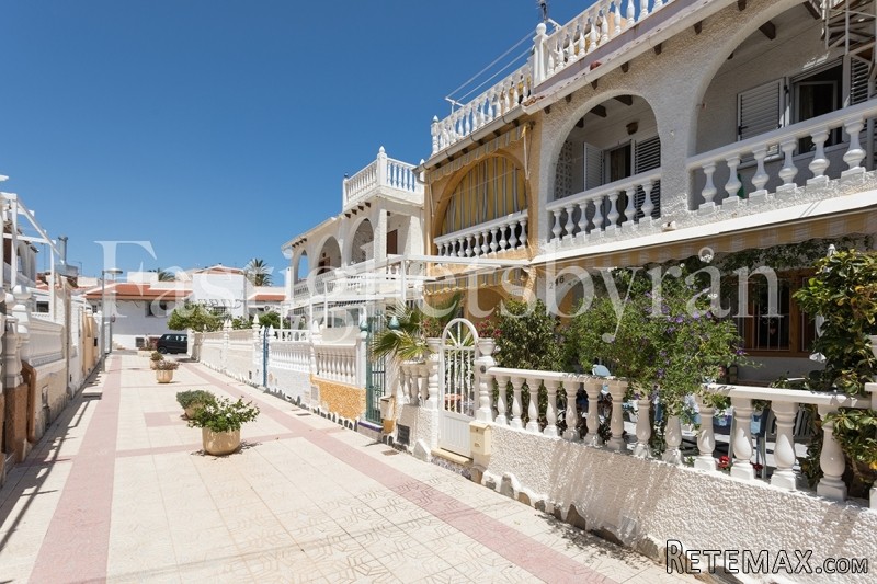 Mil Palmeras |Torrevieja - 2