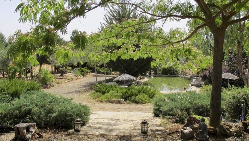 The Refuge* - 2