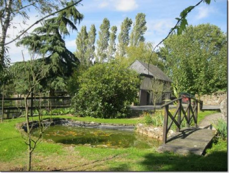 Country House on 1 Hectare of Land - 2