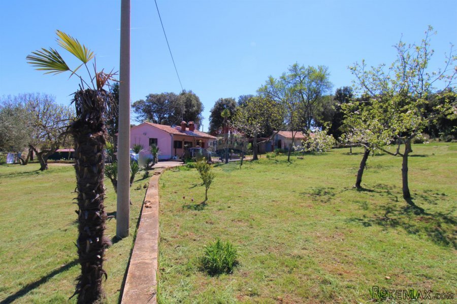 Rovinj,imanje blizu glavne ceste,12 000m2,idealno za restora - 2
