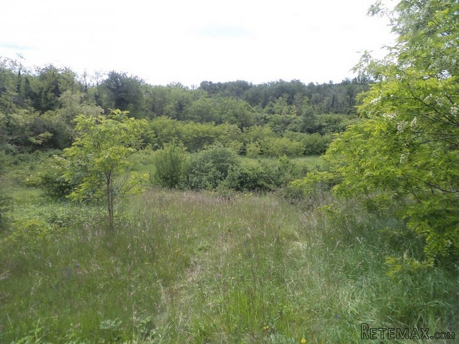 Istra zemljište za prodaju 19.285 m2