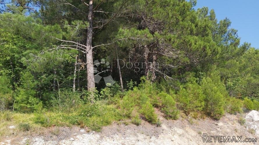 Zemljište sa tri ruševne kuće - 6