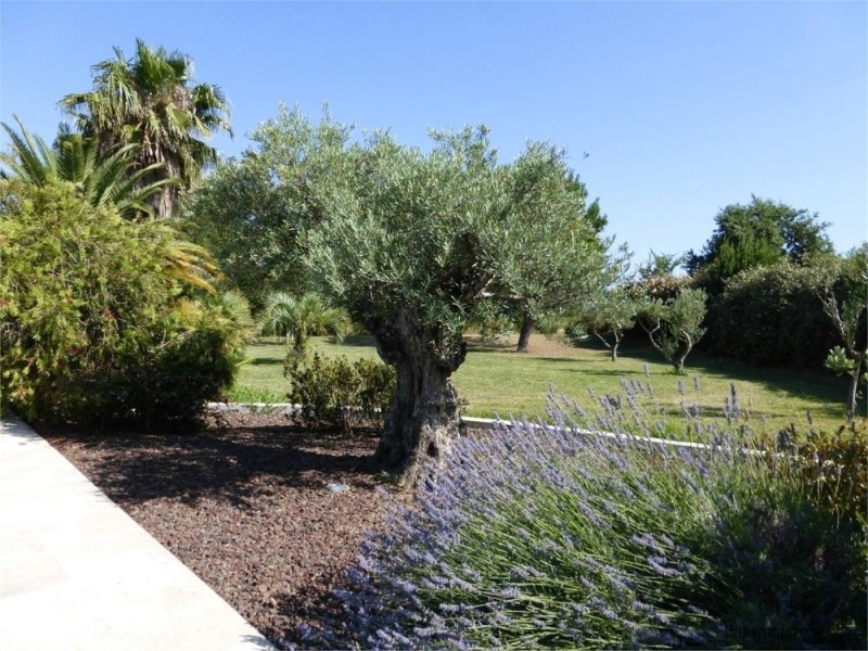 For Sale Superb Villa With Pool And.. - 2
