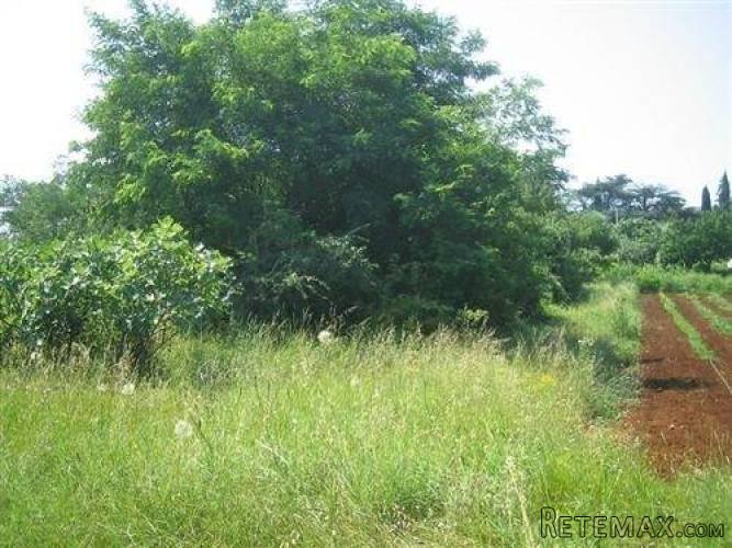 Istra, Umag- Građevinsko zemljište 400m od mora - 3