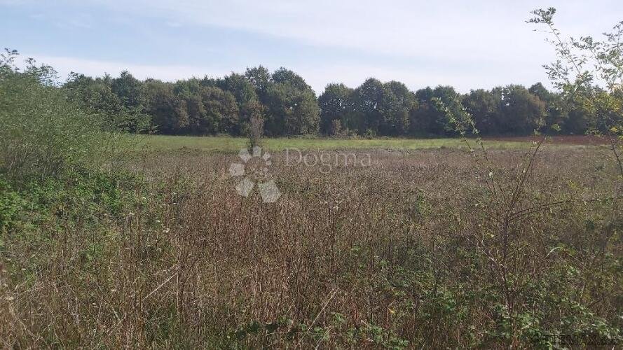 Poljoprivredno zemljište, livada - 2