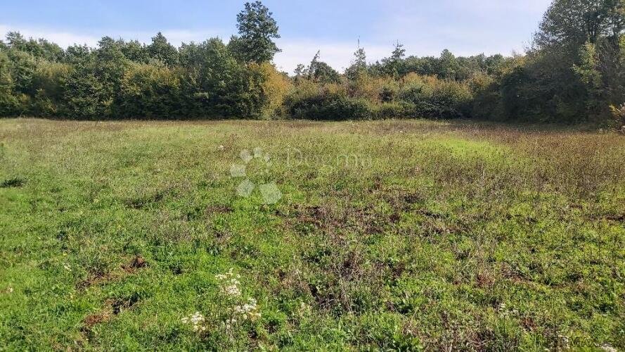 Poljoprivredno zemljište u blizini sela - 2