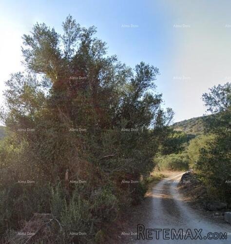Prodaja građevinskog zemljišta, 350 m udaljeno od mora Vela.. - 2