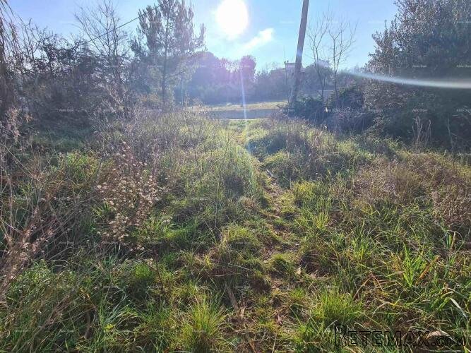 Građevinsko zemljište Vintijan – 800 m2 – uz cestu