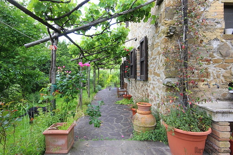 Chianni Woods House