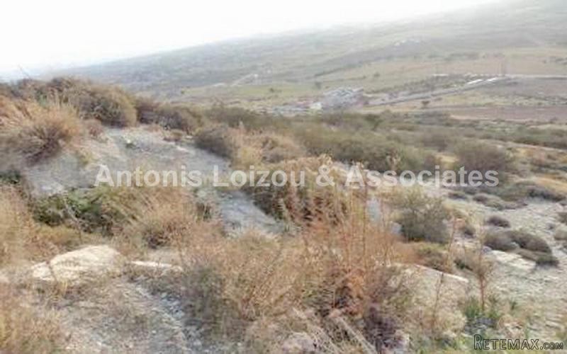Agricultural Field For Sale in Anarita.. - 2