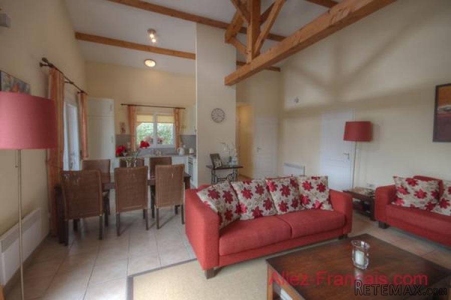 Les Forges (79) - Immaculate villa with large terraces, garden.. - 6