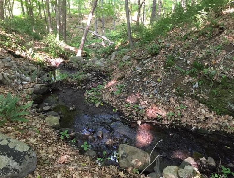 Land For Sale: Camby Rd Verbank NY 12585 - 2