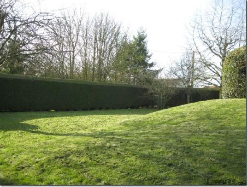 Nice Detached House and Garden - 2