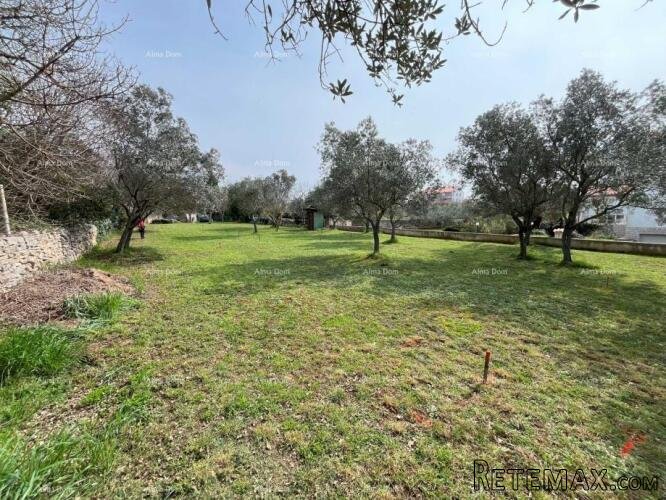 Peroj, građevinsko zemljište površine 1336 m² - 5
