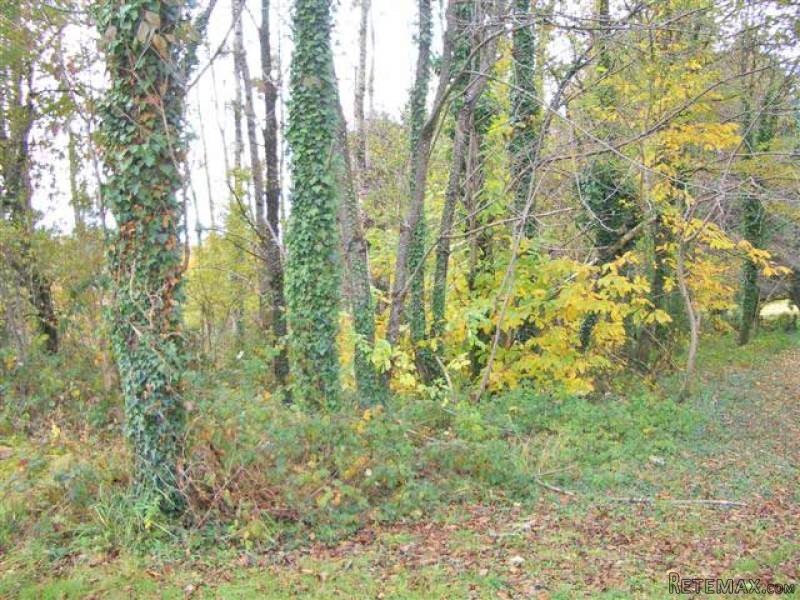 Building Land Close To All Amenities In..