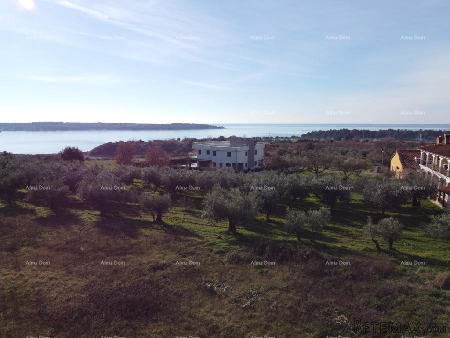 Rezidencija Novi Home Novigrad - Izuzetna vizija.. - 8