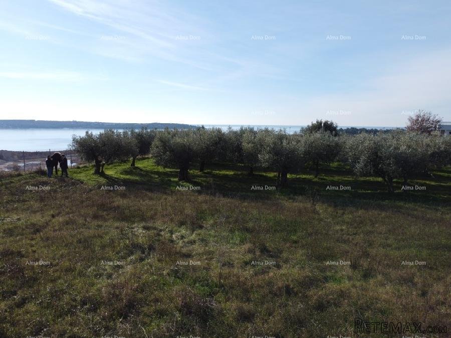 Rezidencija Novi Home Novigrad - Izuzetna vizija.. - 9