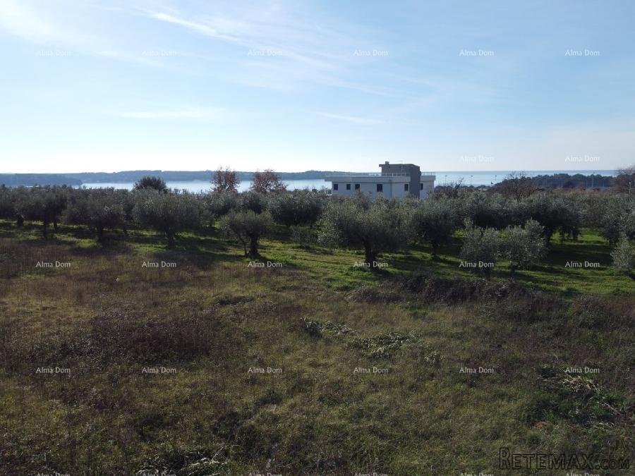 Rezidencija Novi Home Novigrad - Izuzetna vizija.. - 10