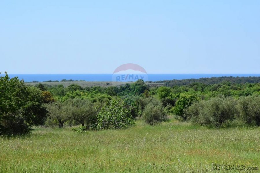 Vabriga,zemljište na osami,pogled more,500m od mora.Jedinst - 6