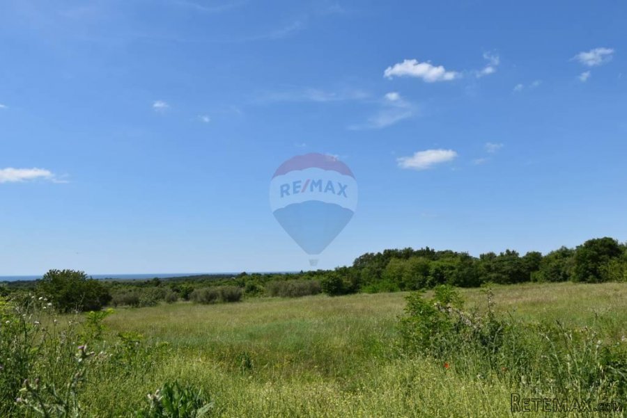 Vabriga,zemljište na osami,pogled more,500m od mora.Jedinst - 8