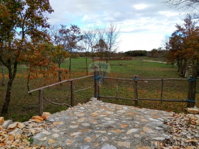 Istra, Vidulini- poljoprivredno zemljište od 4623m2 - 2
