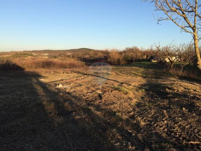 Bujština, građevinsko zemljište sa prekrasnim pogledom - 2