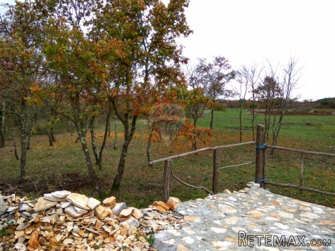 Istra, Vidulini- poljoprivredno zemljište od 4623m2 - 3