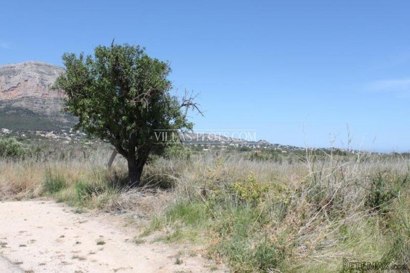 Plot In Javea - 2