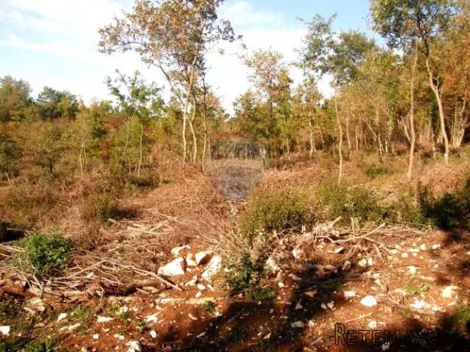 Građevinsko zemljište Istočna Istra - 3