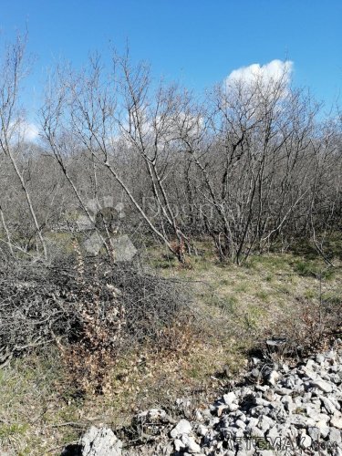 OTOK KRK GARICA GRAĐEVINSKI TEREN OD 2338 m2 - 6