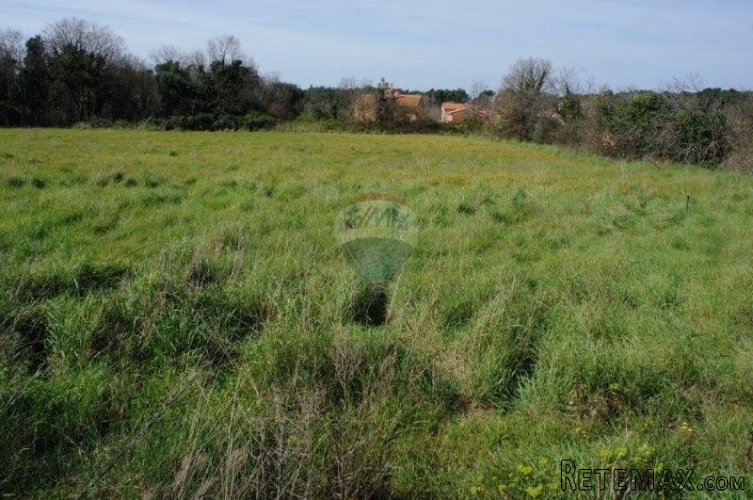 ISTRA, LIŽNJAN GRAĐEVINSKO ZEMLJIŠTE 650 M2 - 4