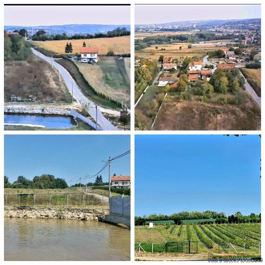 Kuca sa plantazom u blizini Smederevske Palanke - 7