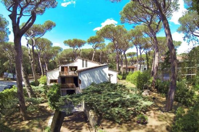 Property - Tuscany - For Sale - 2