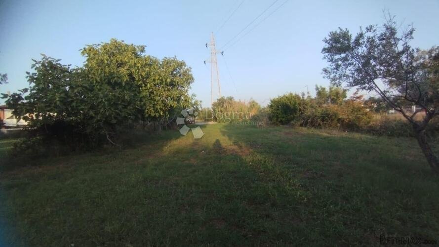 Oaza Smokava i Maslina: Zemljište Fažana - 3