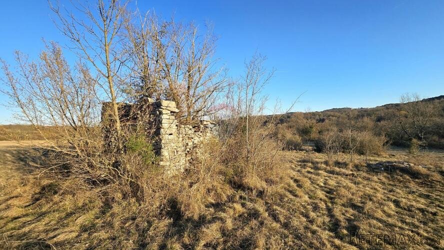 Istra, Grožnjan- negrađevinsko zemljište sa starinom - 2