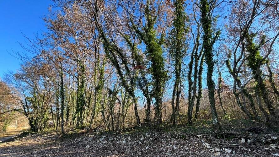 Tinjan - okolica , poljoprivredno zemljište na kraju sela - 2