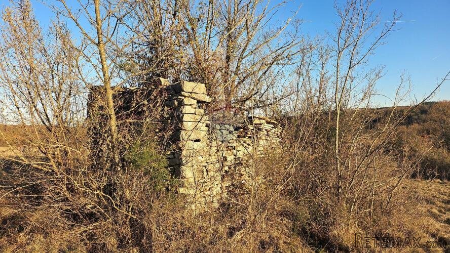 Istra, Grožnjan- negrađevinsko zemljište sa starinom - 3
