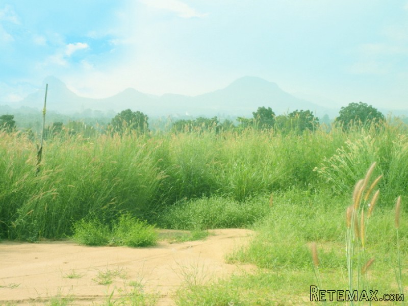 Land Plot adjacent to Phoenix Golf..
