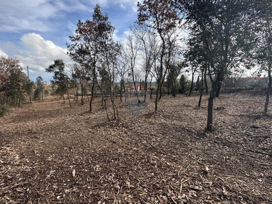 ISTRA, RAKALJ - Građ. zemljište 2405 m2 + Polj. 7540 m2 u cj - 7