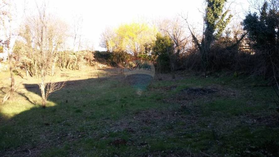 Kanfanar, okolica- starina za obnovu s velikom okućnicom - 5