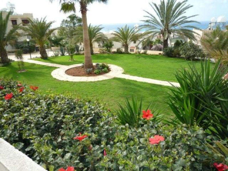 1 Bedroom - Apartment - Paphos - For.. - 2