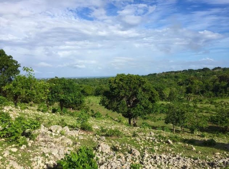 Cabarete Land With Ocean Views Priced..