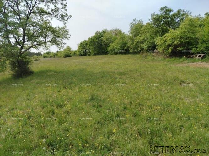 Građevinsko zemljište 3.528 m² , u blizini Grožnjana