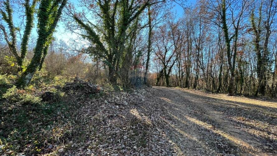 Tinjan - okolica, građevinsko zemljište industrijske namjene - 2
