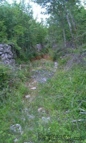 Krk poljoprivredno zemljište sa pristupnim putem - 3