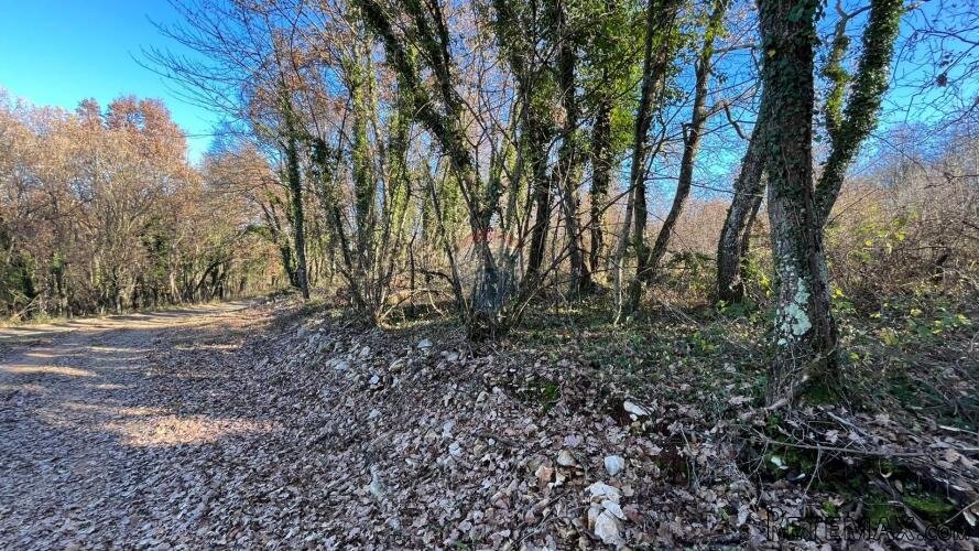 Tinjan - okolica, građevinsko zemljište industrijske namjene - 3