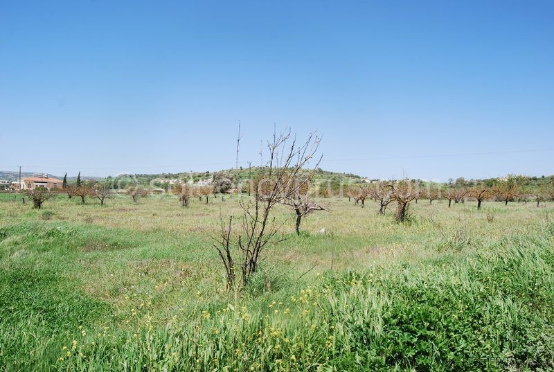 - Land - Paphos - For Sale - 2
