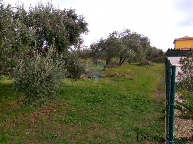 ISTRA, FAŽANA, građevinsko zemljište 400m od mora - 4