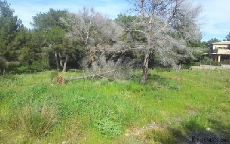 plot for sale in nova santa ponsa near..